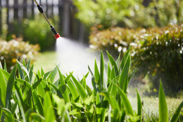 24/7 Emergency Ant Control experts in Zion, IL